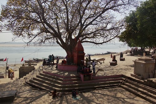 Home 46 Kashi tour packages